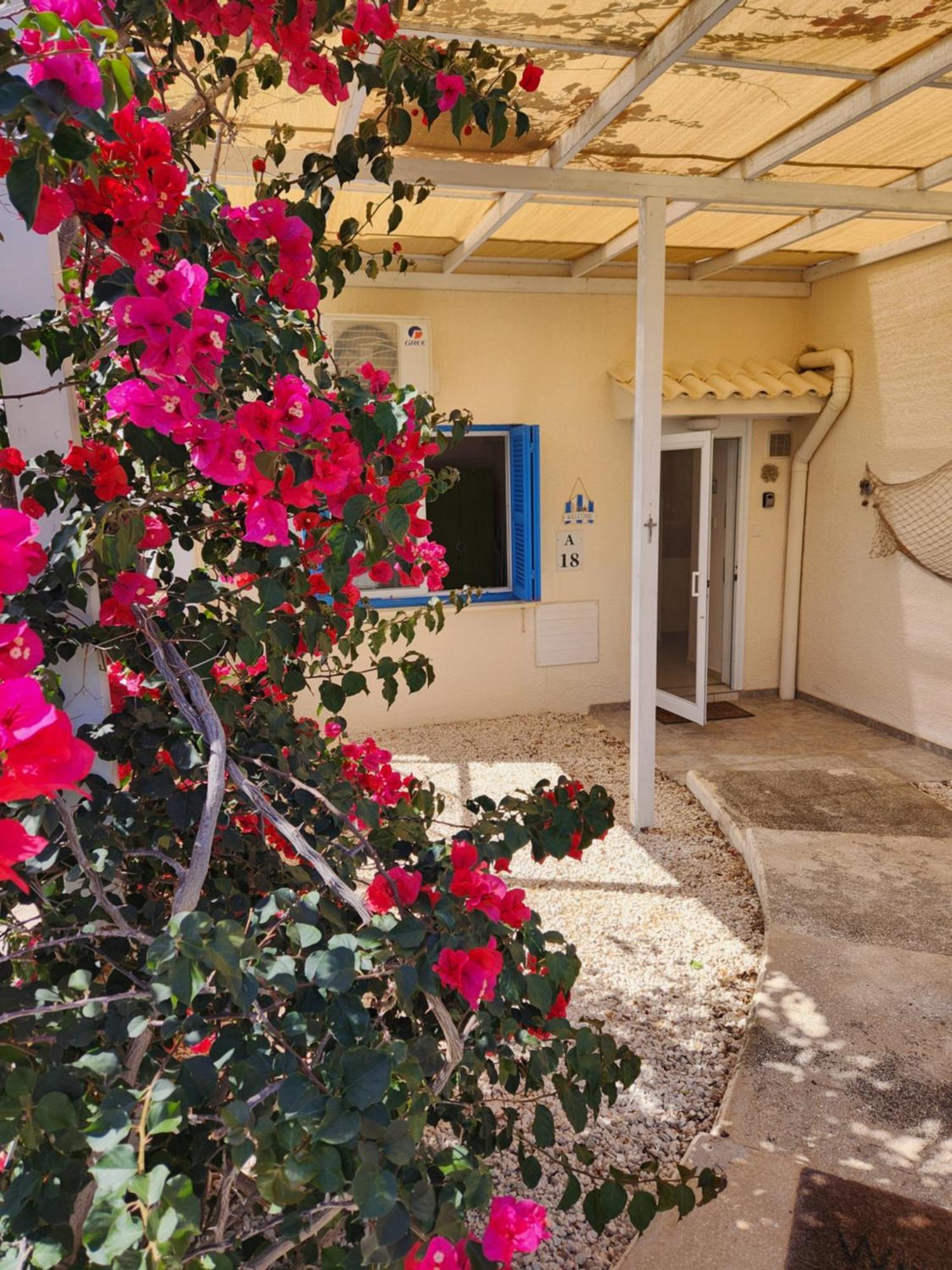 Ocean Pearl Apartment Peyia Exterior photo